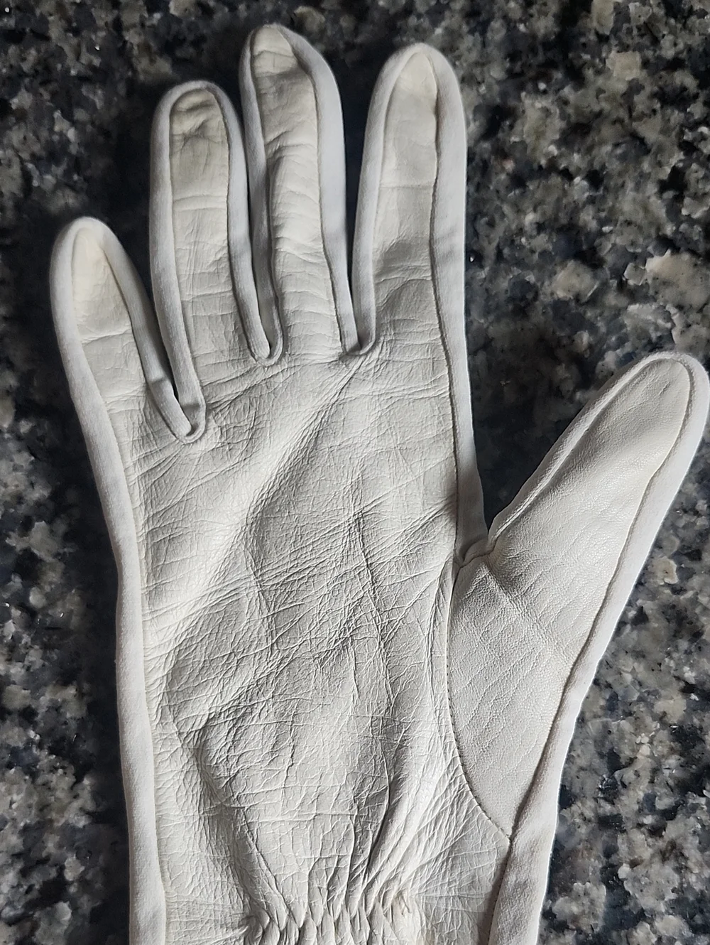 Vtg Van Raalte Ivory Leather Long Opera Gloves Size 8